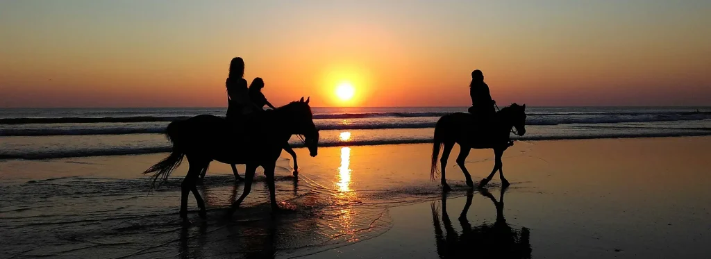 Family activities - horse riding