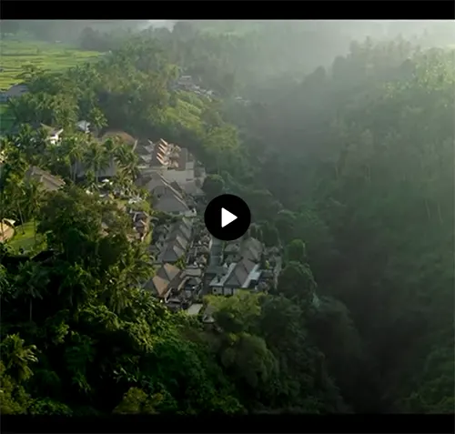 Viceroy Bali video