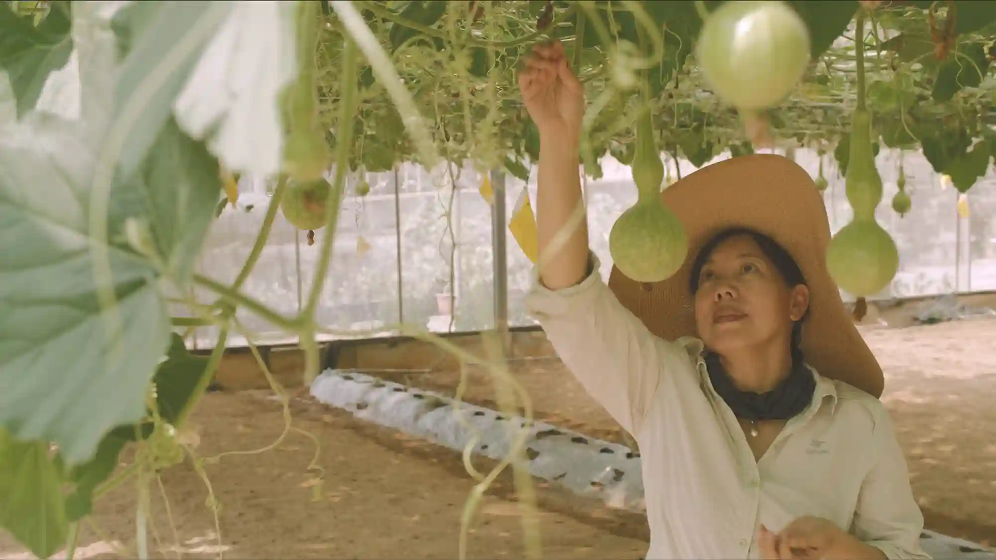 Zero foodprints asia