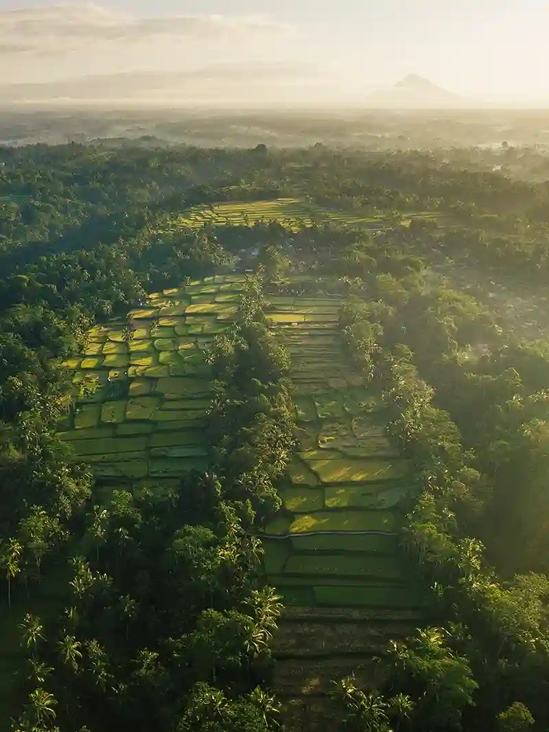 Sustainability